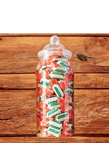 Spearmint Chew Sugar Free Treat Jar