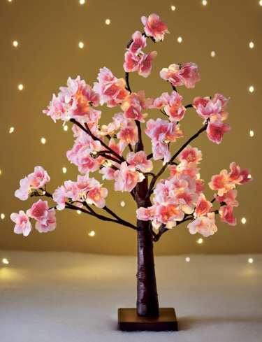 Dark Pink Cherry Blossom Tree