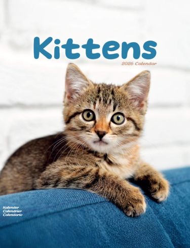 Kittens Luxury 2025 2026 Calendar