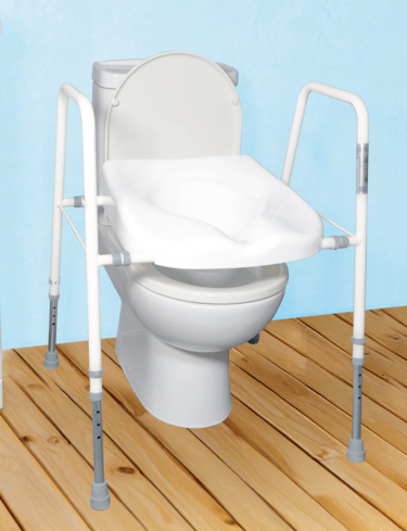 Toilet Seat and Frame